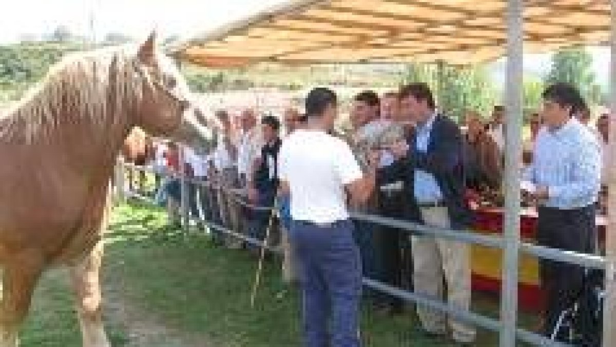 El presidente de la Diputación hace entrega de uno de los premios del concurso ganadero