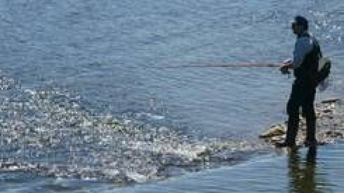 Hubo un tiempo en el que la pesca en el Órbigo era un verdadero placer; hoy es un cauce decadente