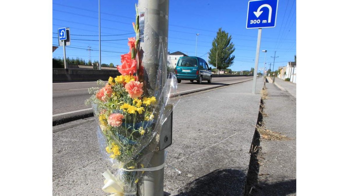 Un ramo de flores recuerda a la mujer atropellada el pasado día 5 en la C-631 en Bárcena.