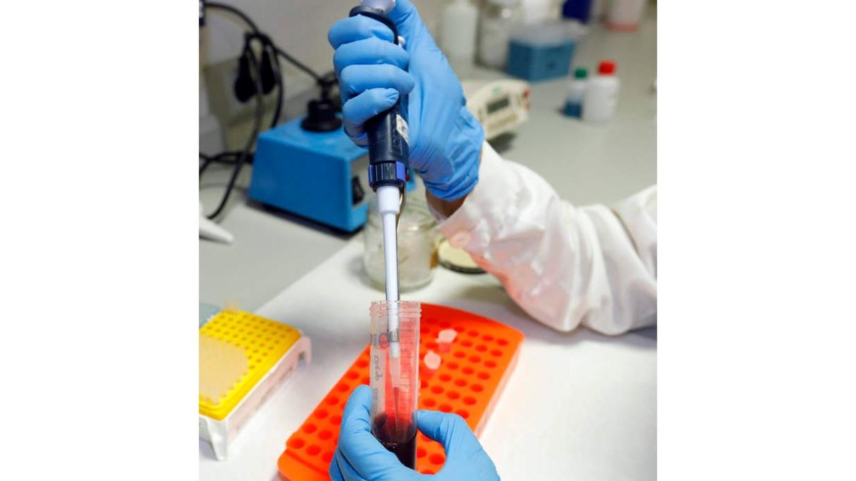 Trabajo en un laboratorio de Ibiomed. marciano pérez