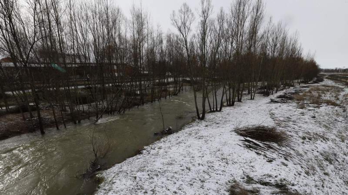 Imagen del río Torío.