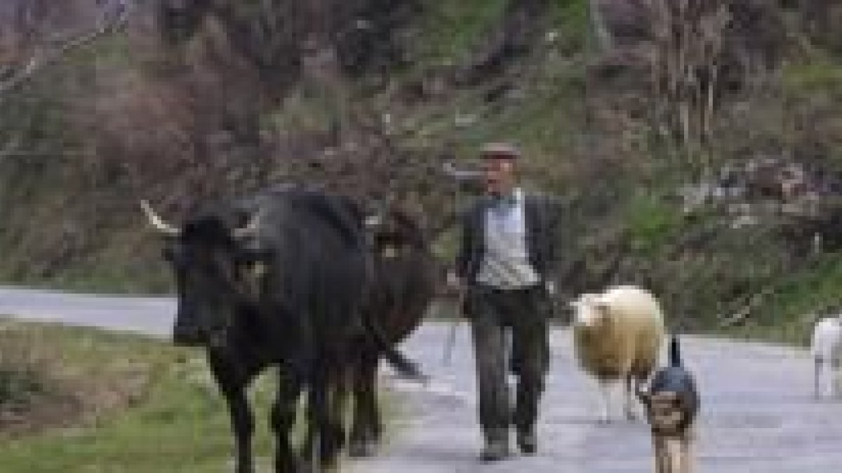 Muchas localidades del Bierzo rural están hoy habitadas por apenas una decena de personas