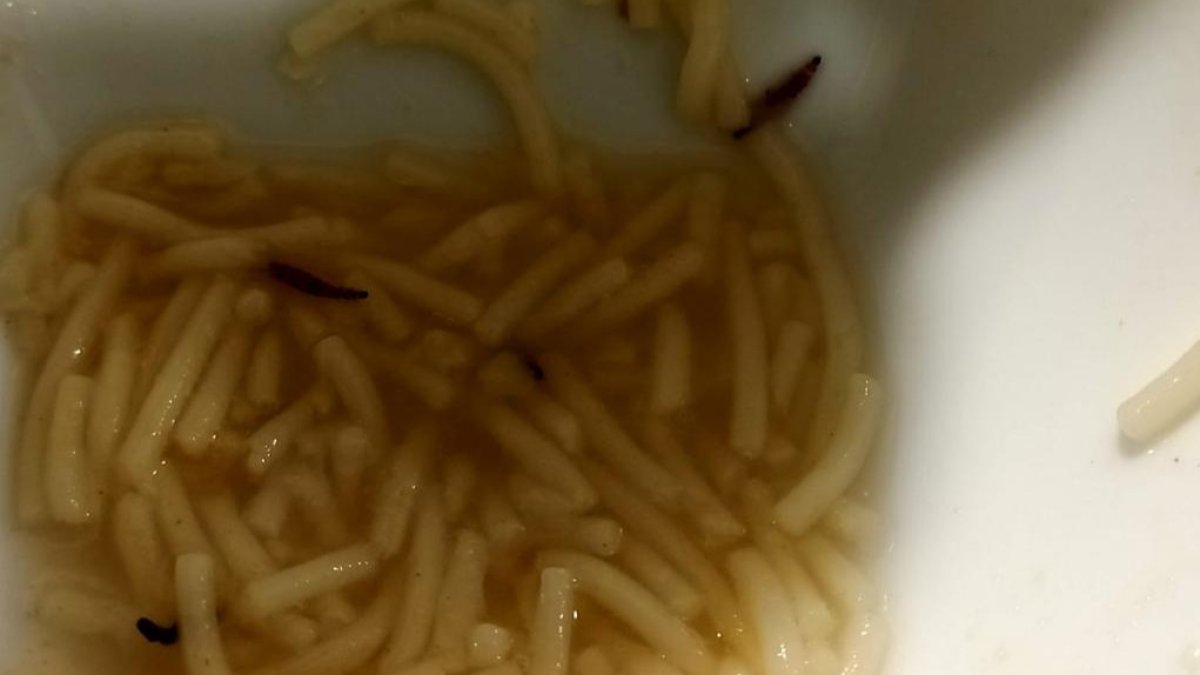 Larvas de gorgojos en la comida de la cafetería del Hospital de León. DL