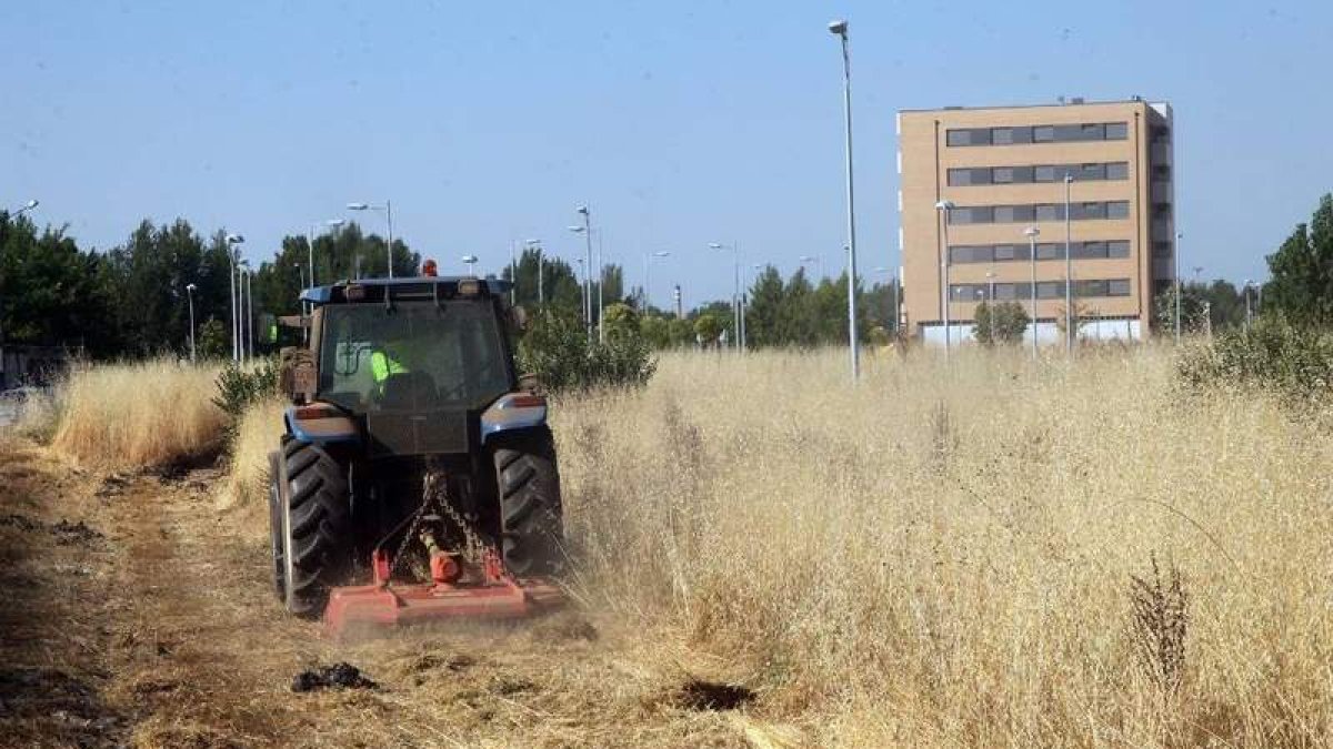 Las brigadas de la contrata del Ayuntamiento, ayer en la zona de la urbanización de La Lastra. DL