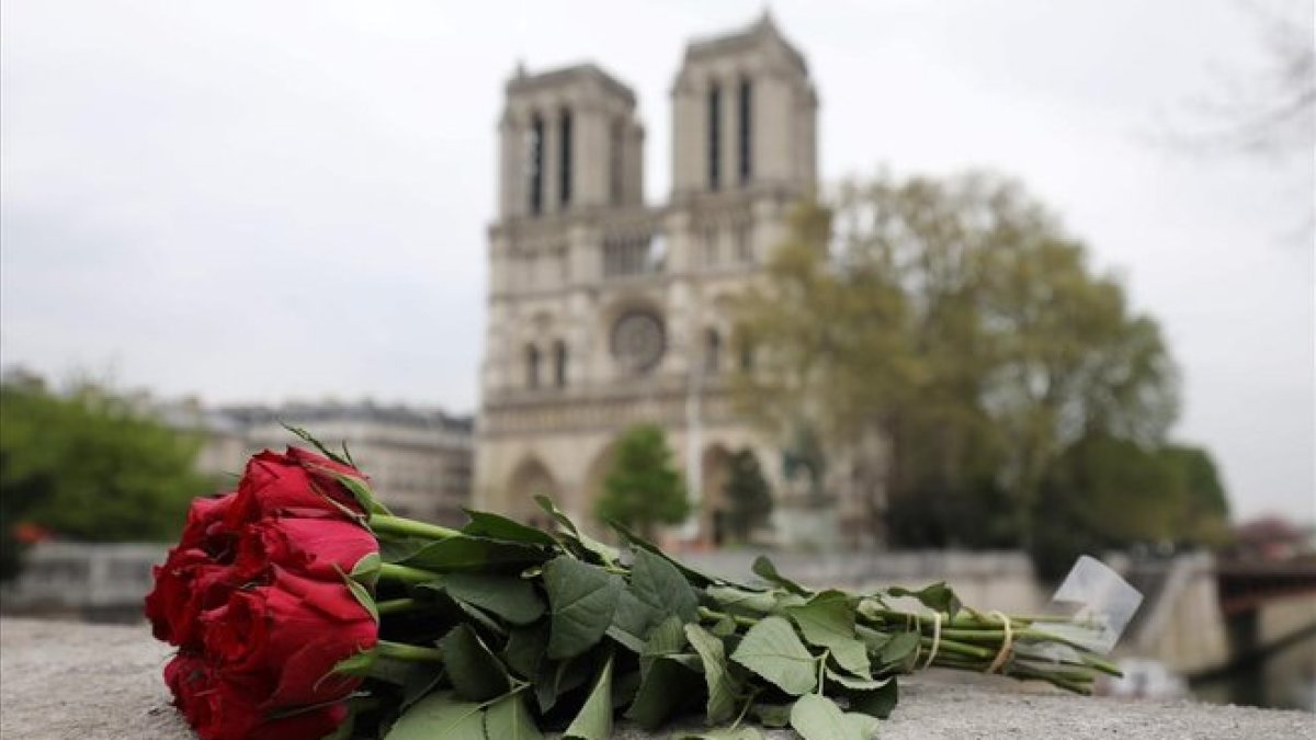 Una rosa depositada cerca de la catedral de Notre Dame, en París, un día después de la catástrofe.
