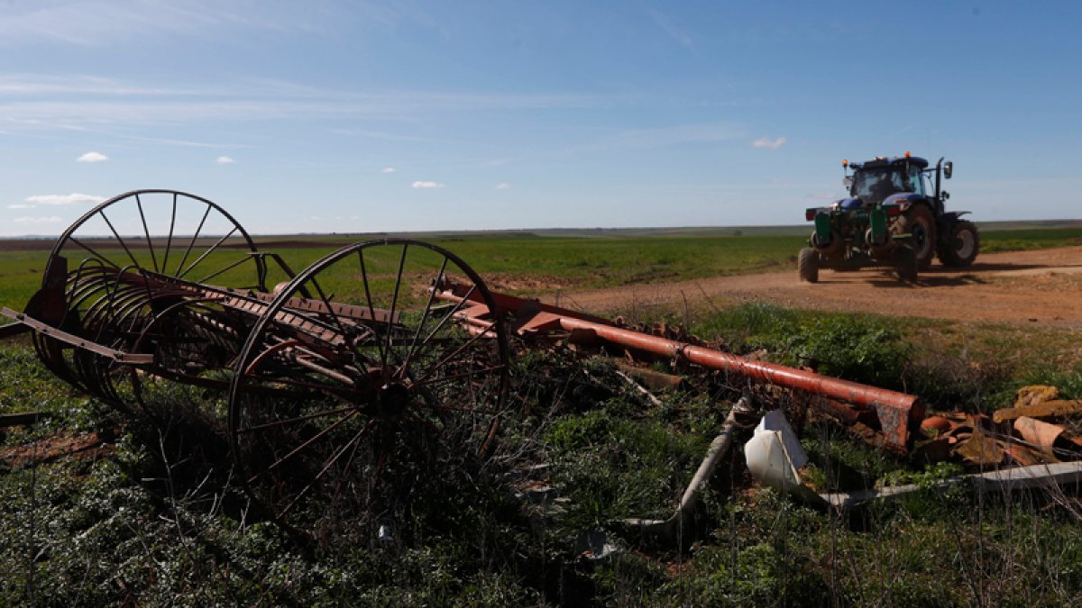 Cultivos en una parcela de la provincia. JESÚS F. SALVADORES