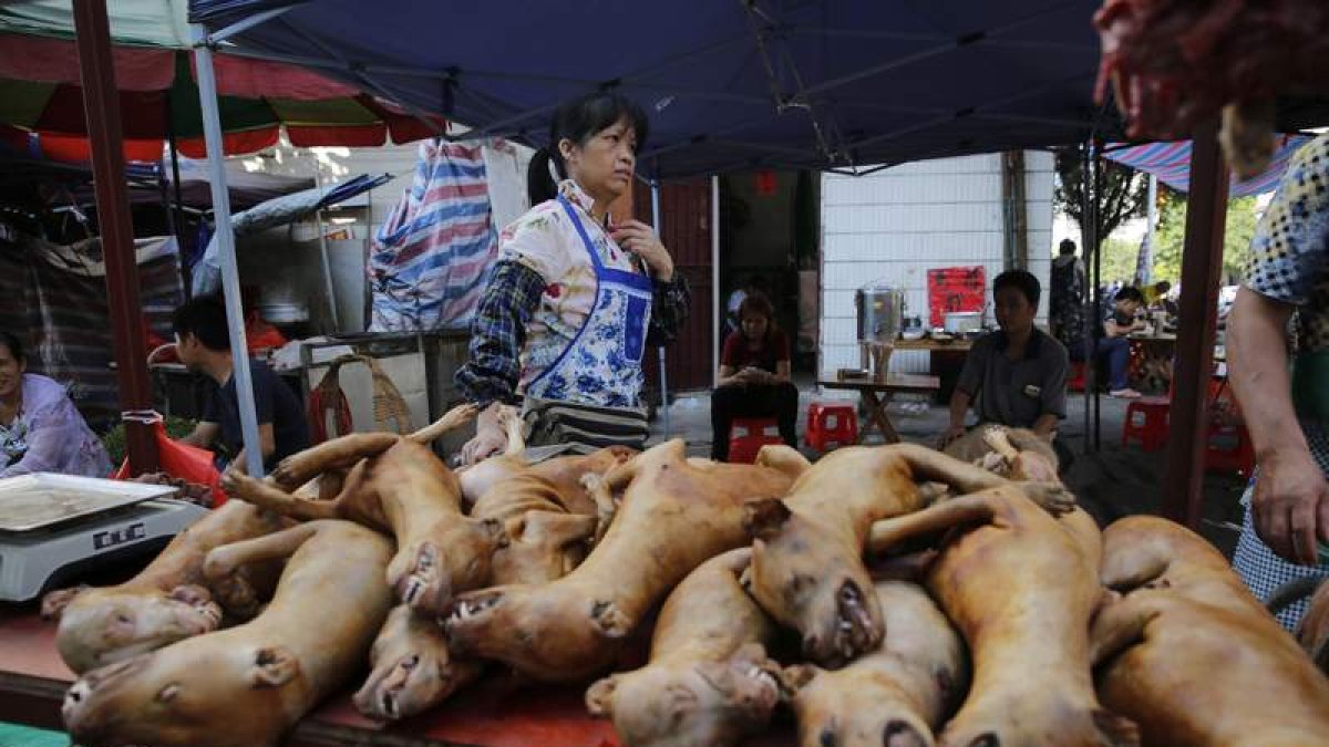 Una comerciante vende carne de perro en un mercado tradicional en una popular calle de la ciudad de Yulin. WU HONG