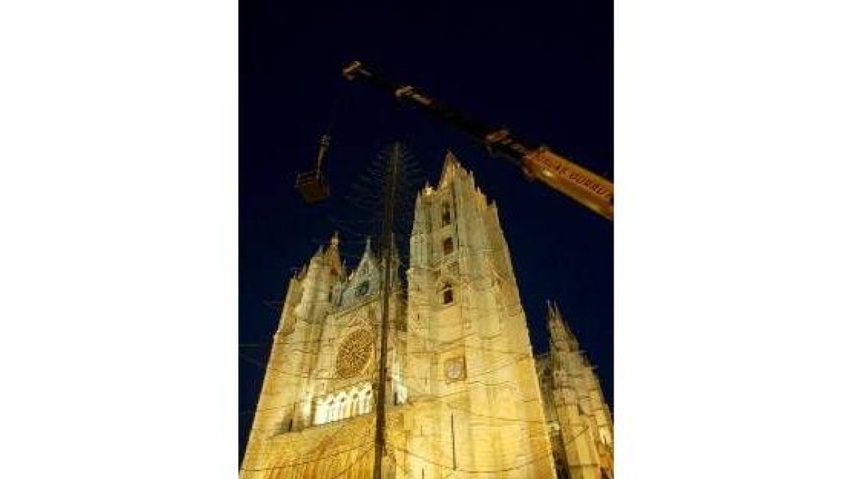 El abeto de la plaza de Regla terminó de montarse anoche, al pie de la Pulchra
