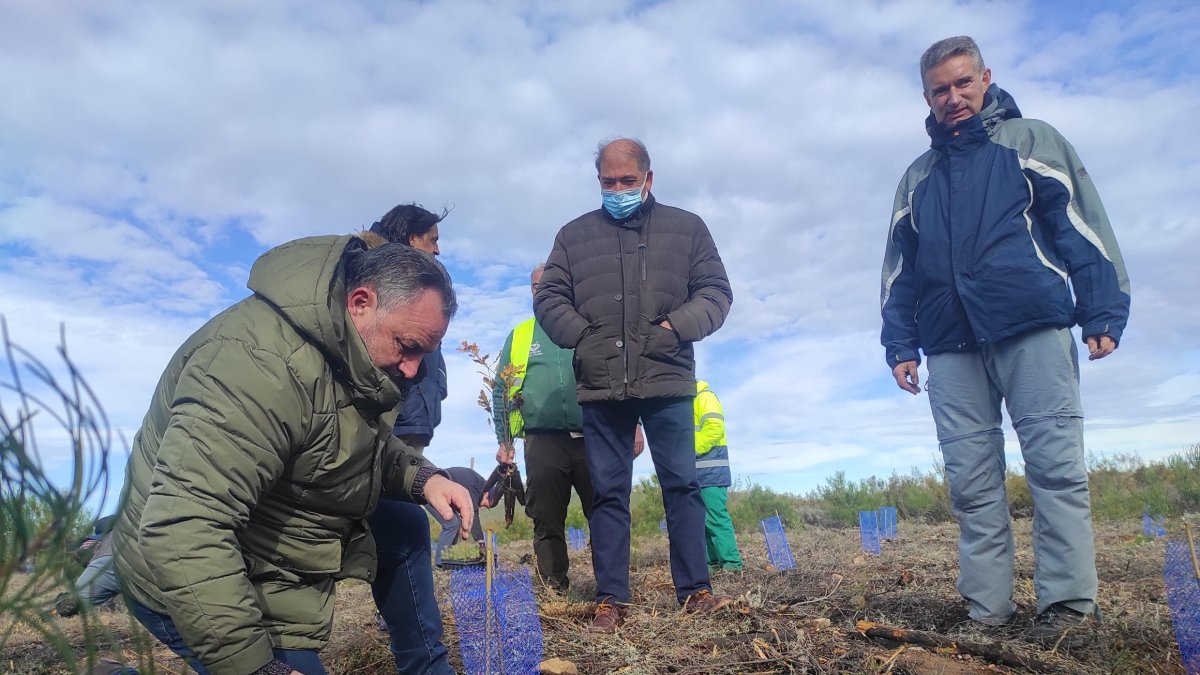 Morán, en la reforestación de Castrocontrigo. DIPUTACIÓN DE LEÓN