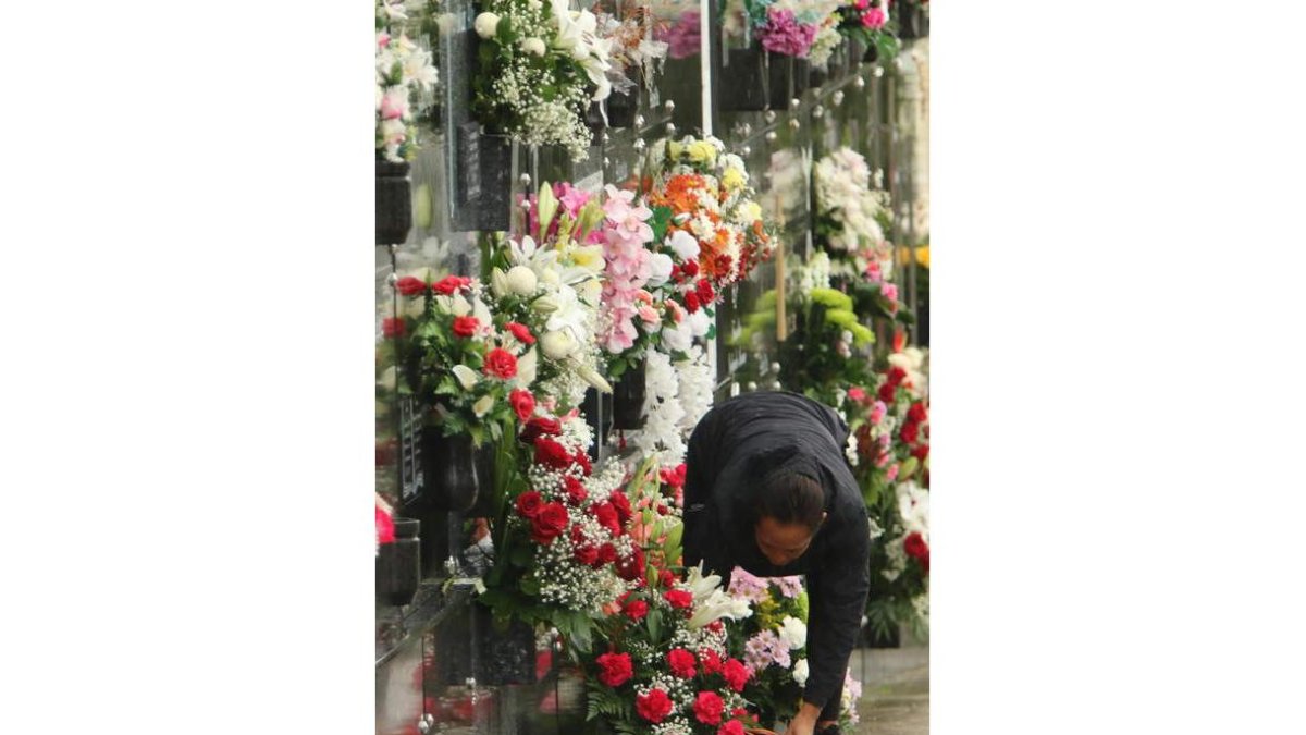 Una mujer coloca flores en el cementerio de Ponferrada. L. DE LA MATA