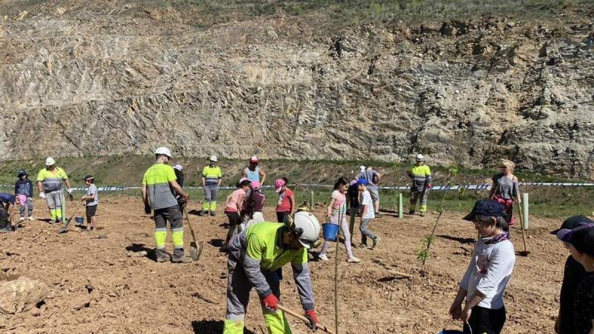 Participantes en la plantación de árboles. DL