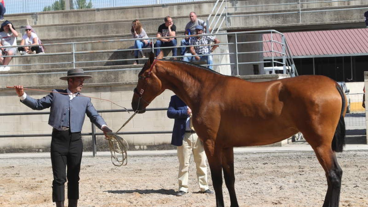 l. de la mata