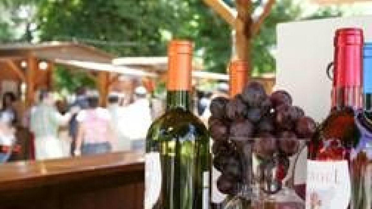 El vino Tierras de León espera recibir, en breve, la Denominación de Origen