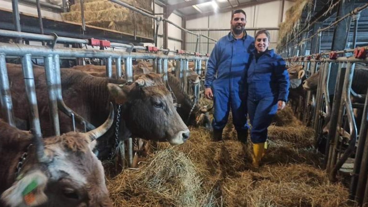 David García y Aída Rodrigo, con algunas de sus vacas. ARAUJO