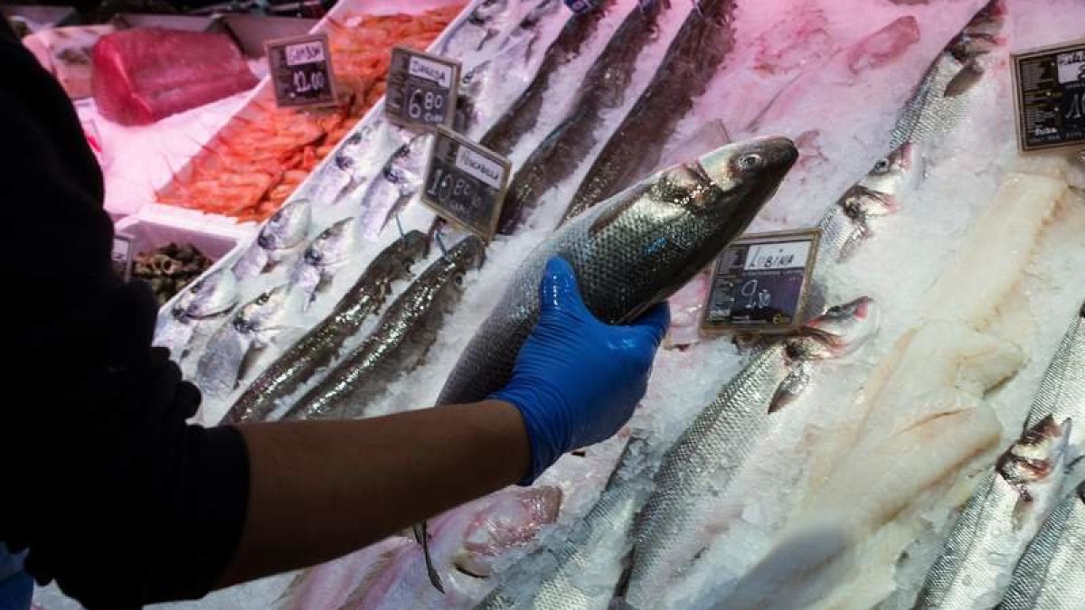 Compra de pescado en el mercado.