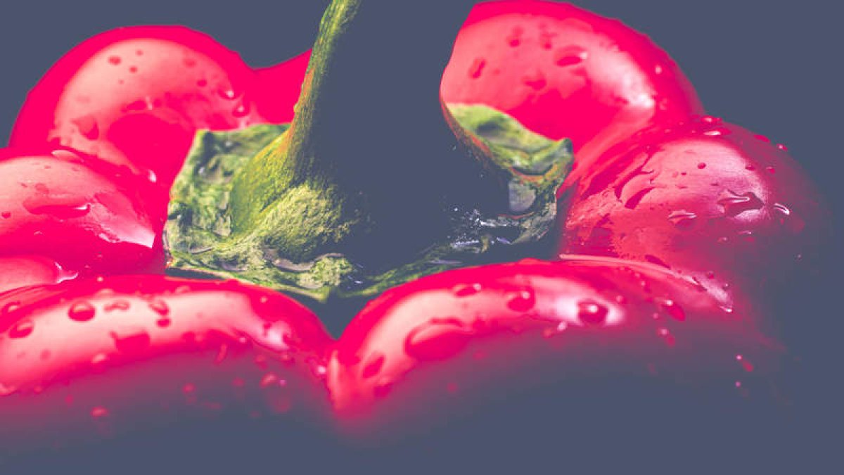 Pimiento. DAVID CAMPOS,, 2023