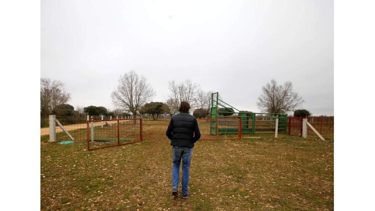 El alcalde de Moraleja en la entrada de la finca Pelilla. MIRIAM CHACÓN