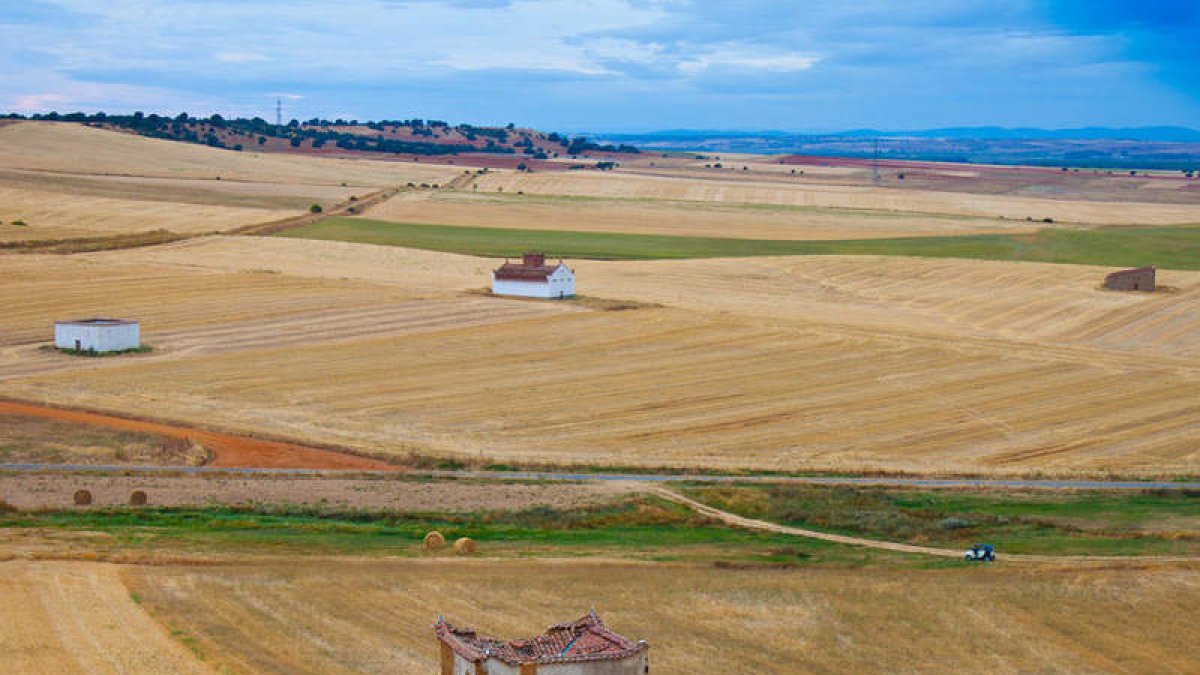 Palomares situados en el tranquilo pueblo de Fáfilas, cerca de Valencia de Don Juan.