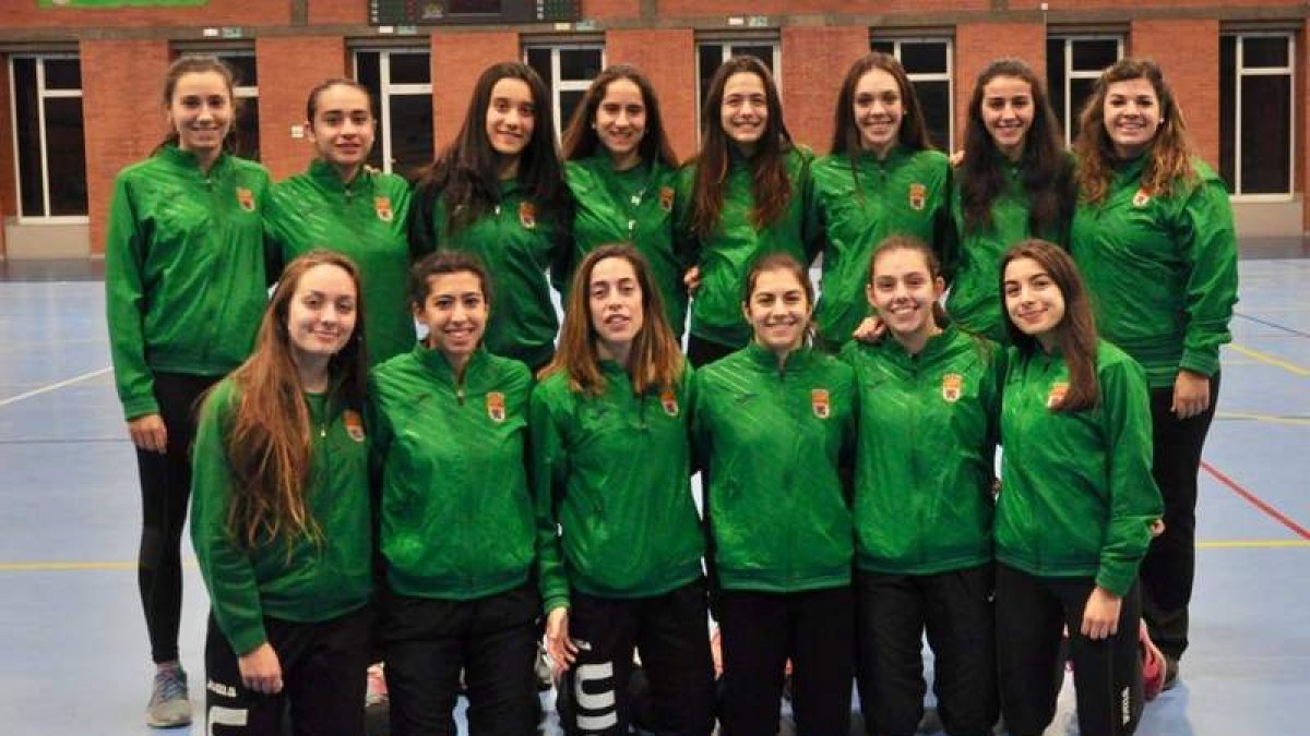 El equipo del ULE Sprint León luchará por recuperar su sitio en la División de Honor. JOSÉ LUIS SILVÁN
