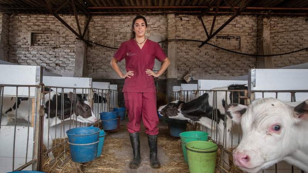 Trabajos en una granja. efe