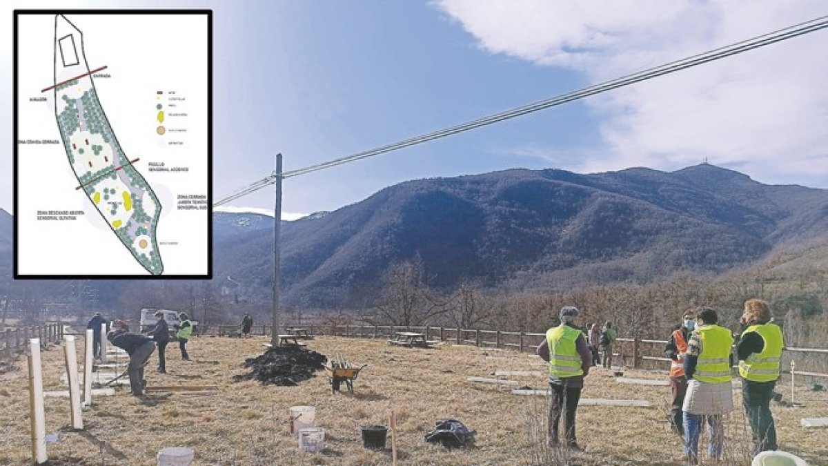 Plantación de árboles en la zona que ocupará el bosque de los sentidos y mapa del proyecto. ARAUJO