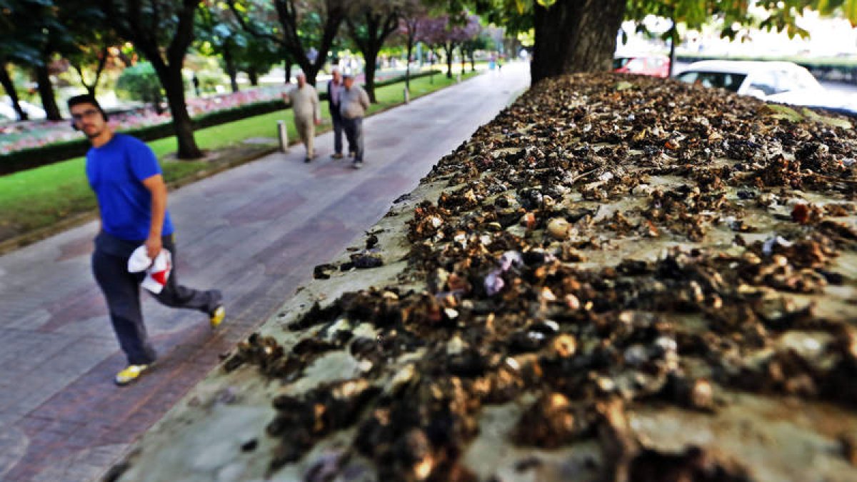El mobiliario del paseo de la Condesa amanece todos los días lleno de excrementos. RAMIRO