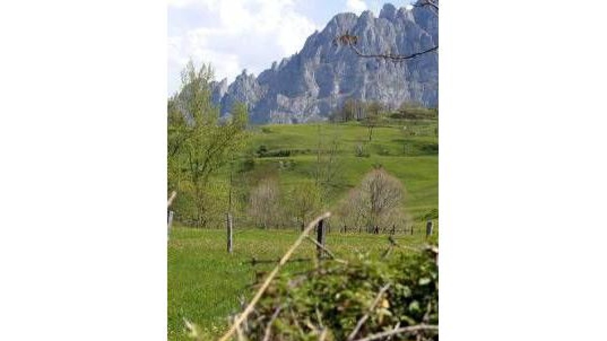 Imagen de los Picos de Europa, al fondo