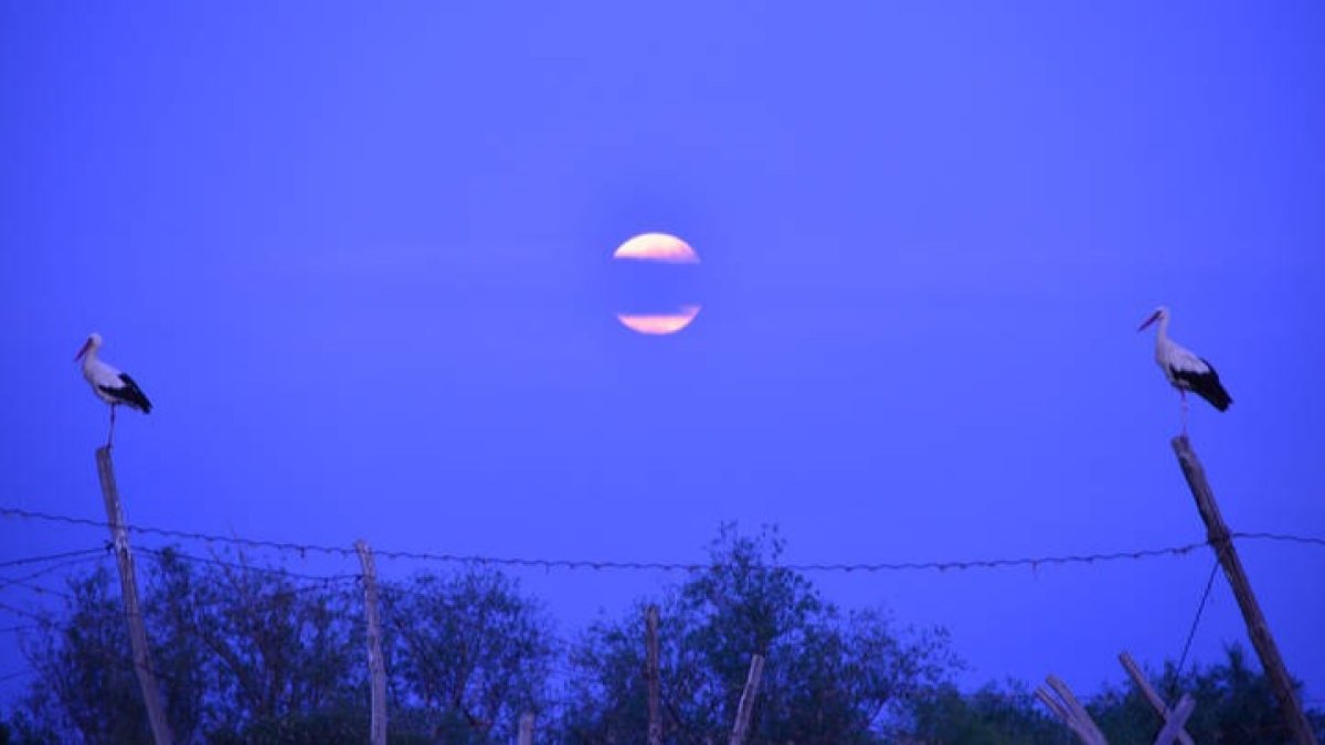 Atardecer en la provincia de León. DESIRÉE RODRÍGUEZ FERRERO
