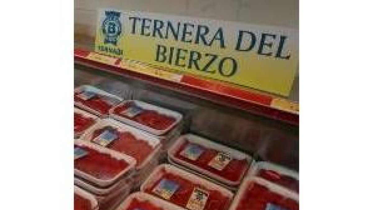 Ternabi nace como tal en el año 1997