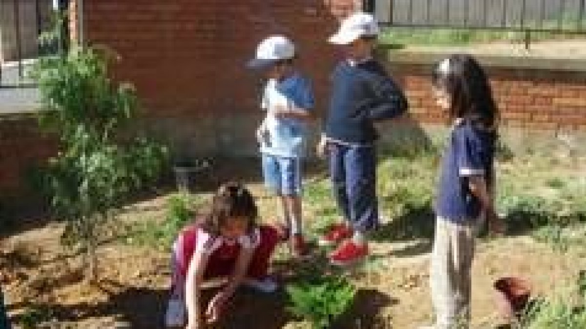 Alumnos del CRA de Navatejera plantando coníferas en un jardín