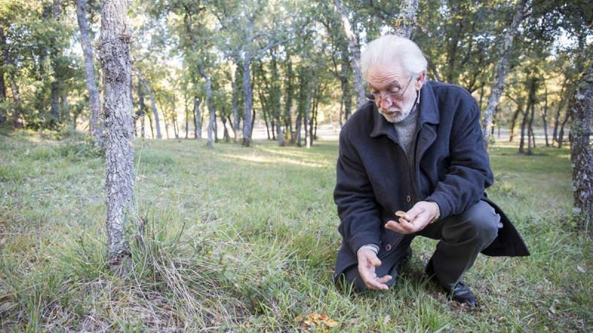 José Ángel González Cuenca con un ejemplar de seta en el Monte San Isidro.
