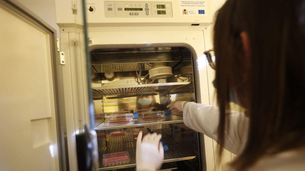 Aplicaciones de investigación en la Universidad de León. ARCHIVO