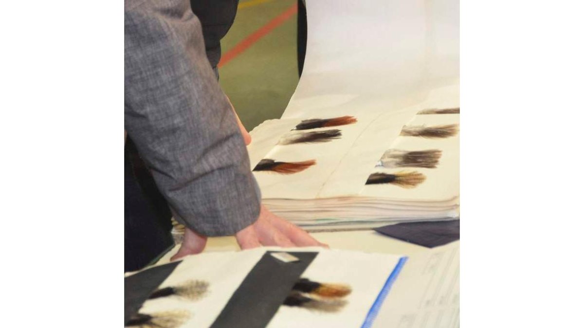 imágenes de visión creativa cedidas por el ayuntamiento de la vecilla