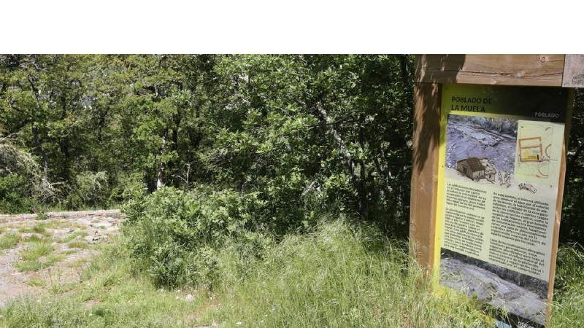 Si estás en Babia durante este mes de octubre no te puedes perder en San Emiliano el concurso –exposición de caballos de raza hispano – bretona. También son clave las ferias y concursos de ganado que se celebran a finales de verano. Dos citas