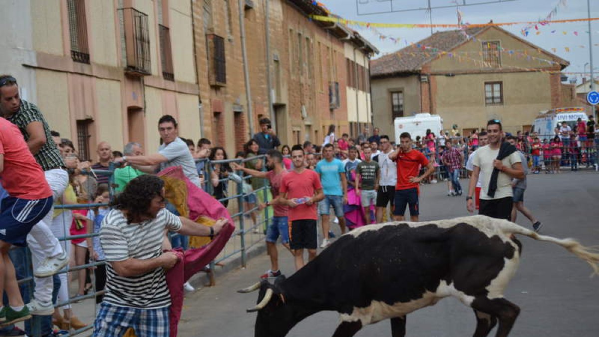 Las vaquillas reunirán a numeroso público el sábado por la noche y el domingo por la tarde. MEDINA