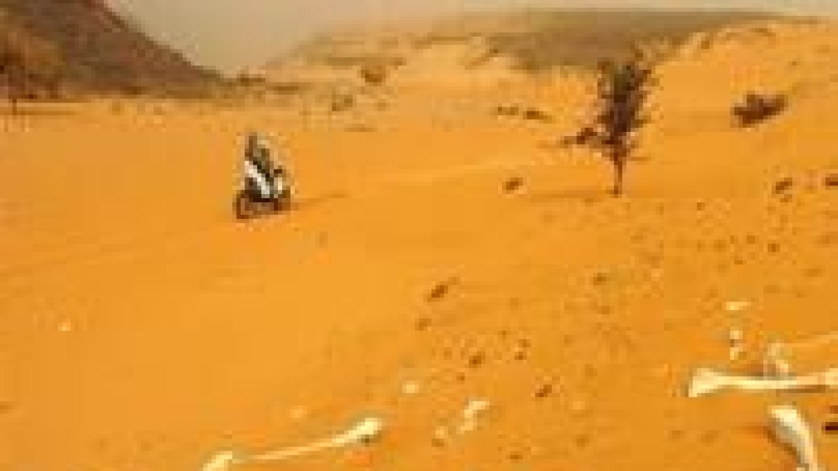 Un piloto del rally Dakar cruza el desierto del Sáhara en Mauritania entre huesos de animales