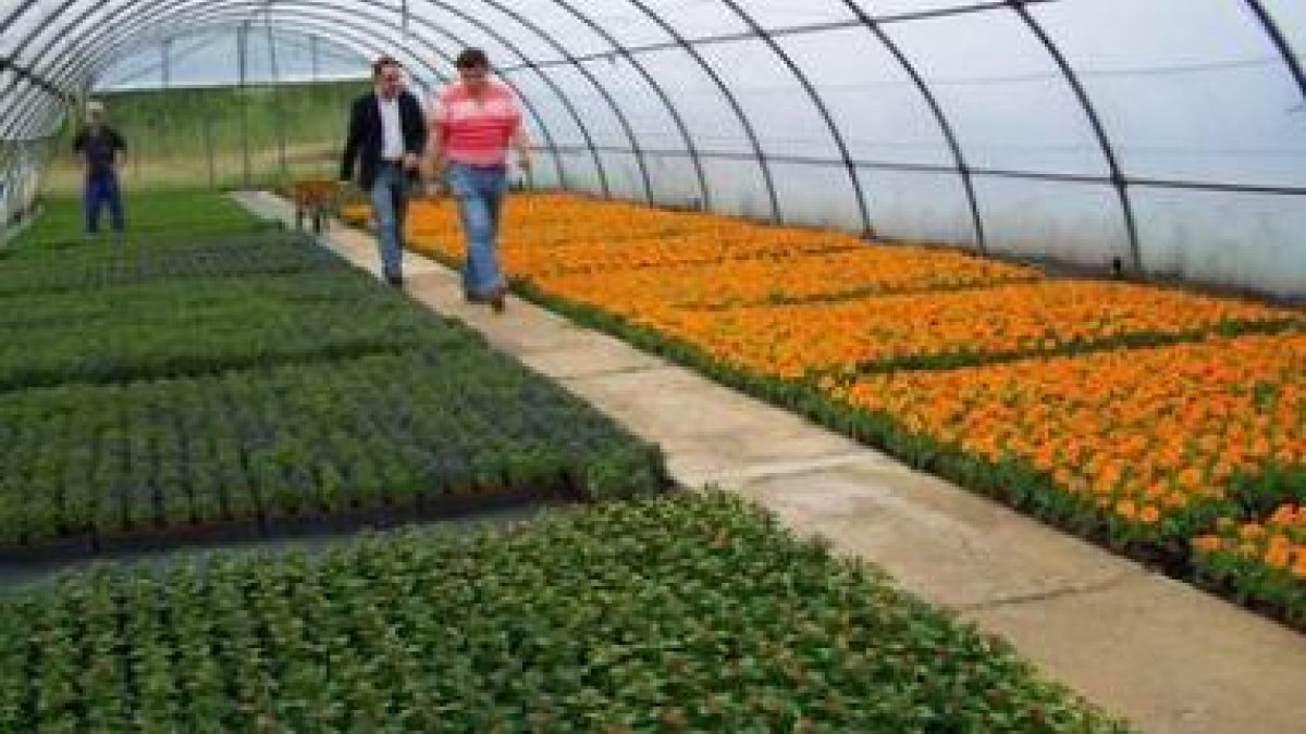 Javier Chamorro, vicealcalde de León, en su visita a las instalaciones del vivero.