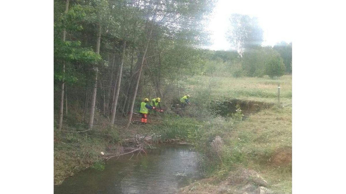 Trabajos de desbroce en el arroyo de Los Barredos.