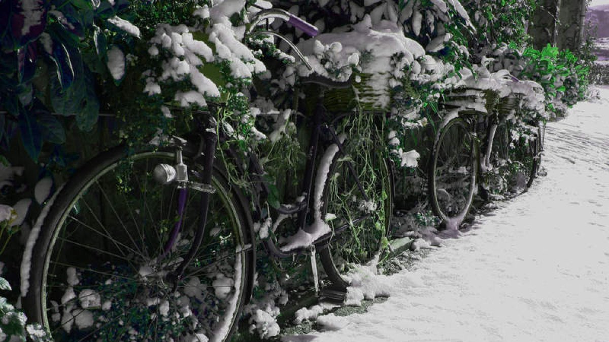 Bicicletas del Hotel Presa de Riaño cubiertas por la nieve.
