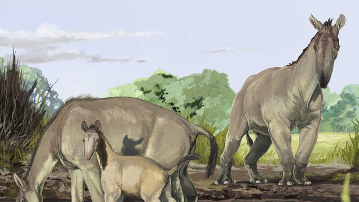Imagen de la reconstrucción artística de una de las especies más enigmáticas descubiertas por Darwin. JORGE BLANCO