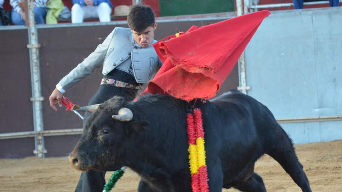 El novillero salmantino Manuel Diosleguarde dando un pase de pecho ayer en Villamañán. MEDINA