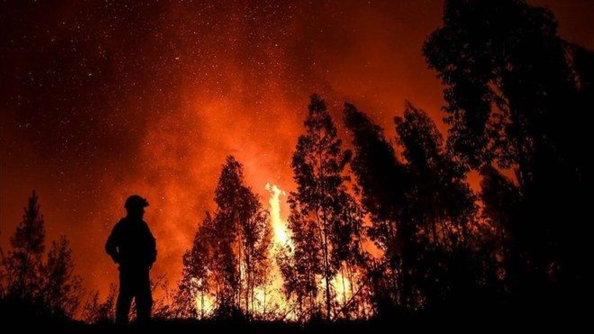 Un bombero, ante las llamas en Maçao, donde está el frente más activo del incendio.