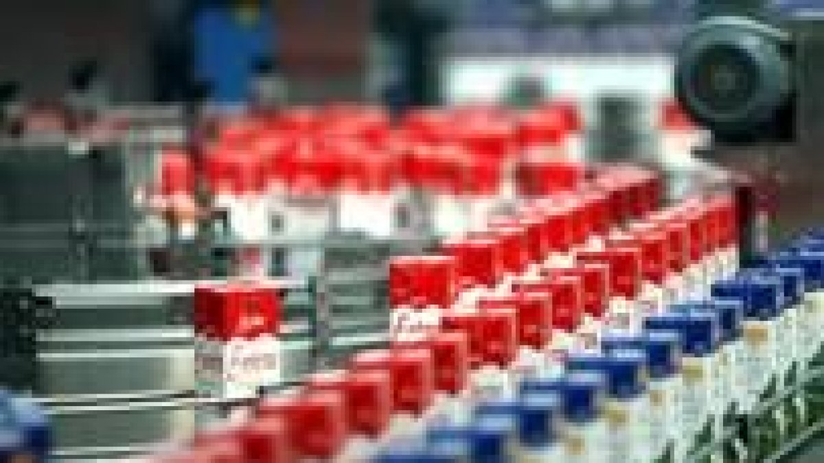 Cadena de envasado de leche en una factoría