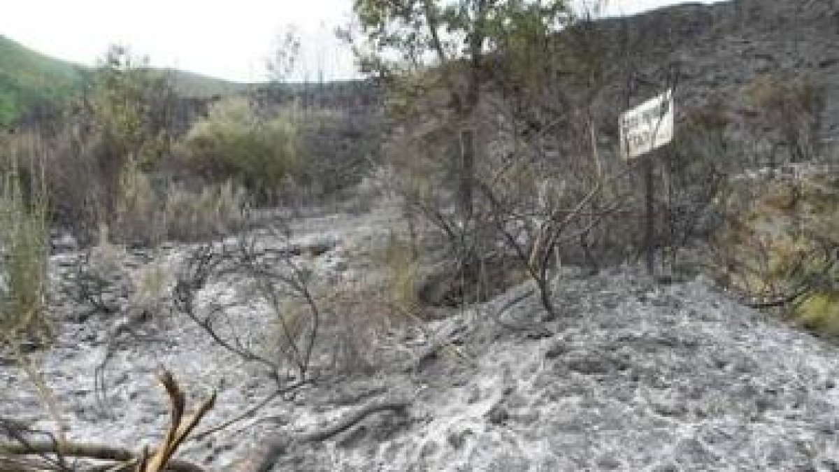 Las brigadas de la UME y de la Junta frenaron el fuego a las puertas de la Reserva Nacional de Caza,