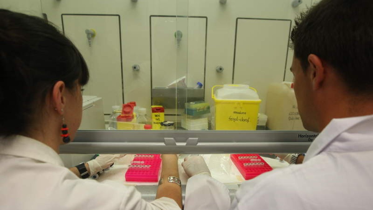 Investigadores leoneses en uno de los laboratorios en los que desarrollan su trabajo.