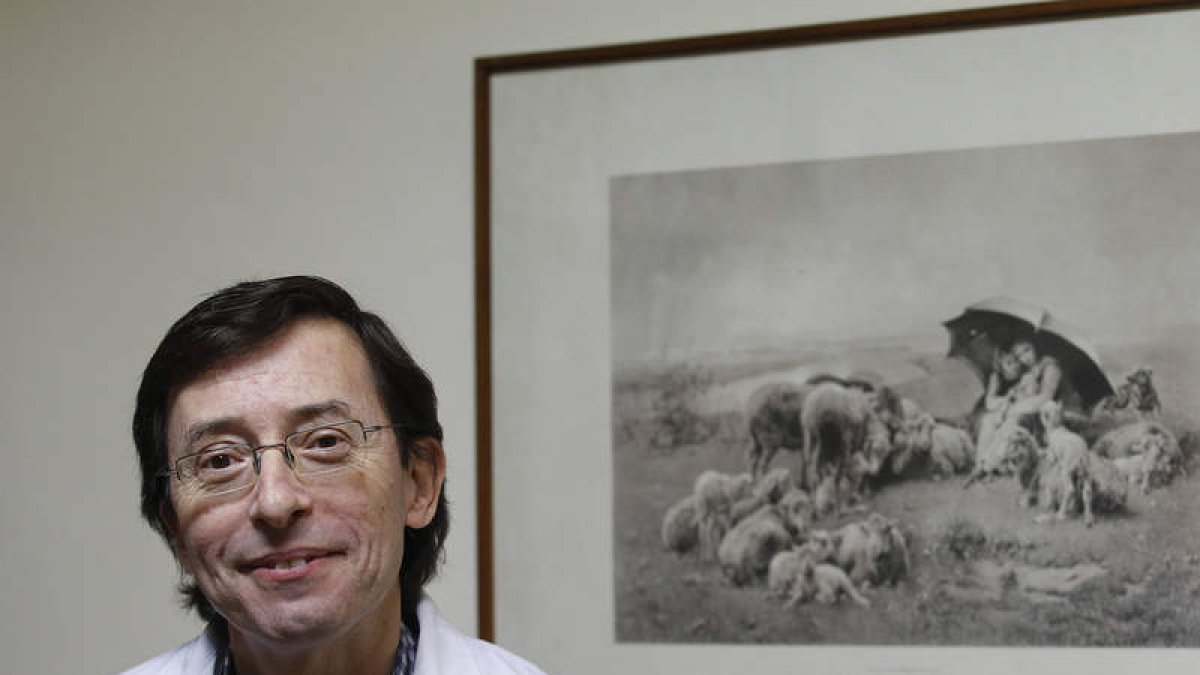 jesús f. salvadores