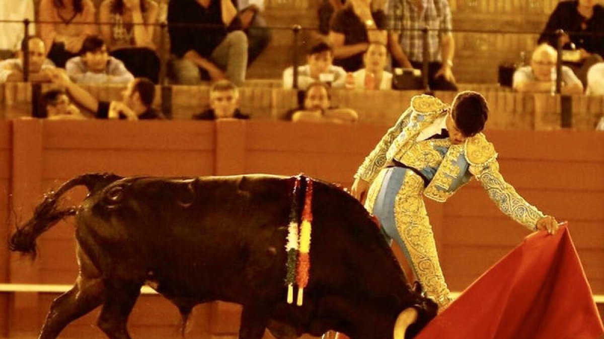 El joven novillero salmantino Manuel Diosleguarde toreará este domingo en Villamañán. DL
