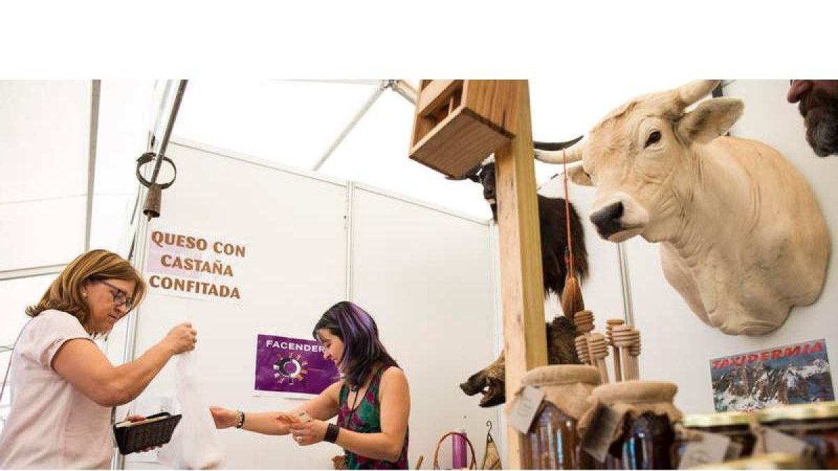 La feria muestra tanto los atractivos naturales como los gastronómicos de las zonas de montaña de la provincia. F. OTERO PERANDONES