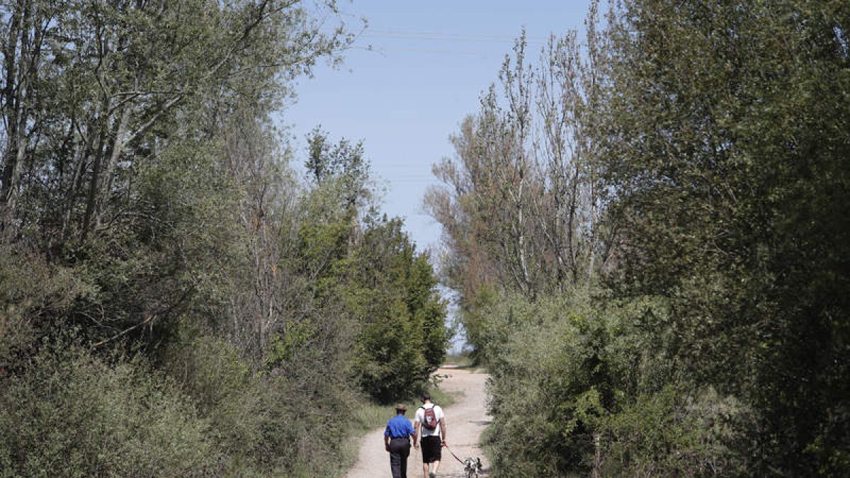 El santuario de La Virgen del Camino, que acaba de ser declarado Bien de Interés Cultural, es el principal símbolo del municipio y el punto de partida de los cientos de peregrinos que dejan atrás la capital leonesa para aventurarse en una de las partes má