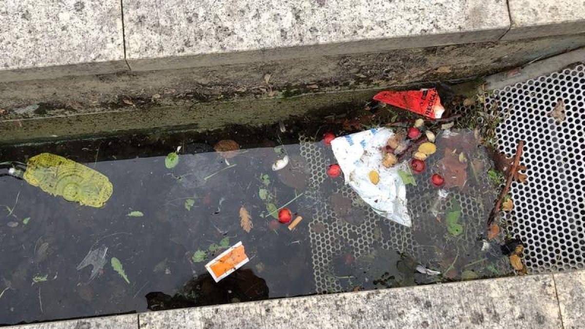 basura en uno de los sumideros de agua en el paseo. DL